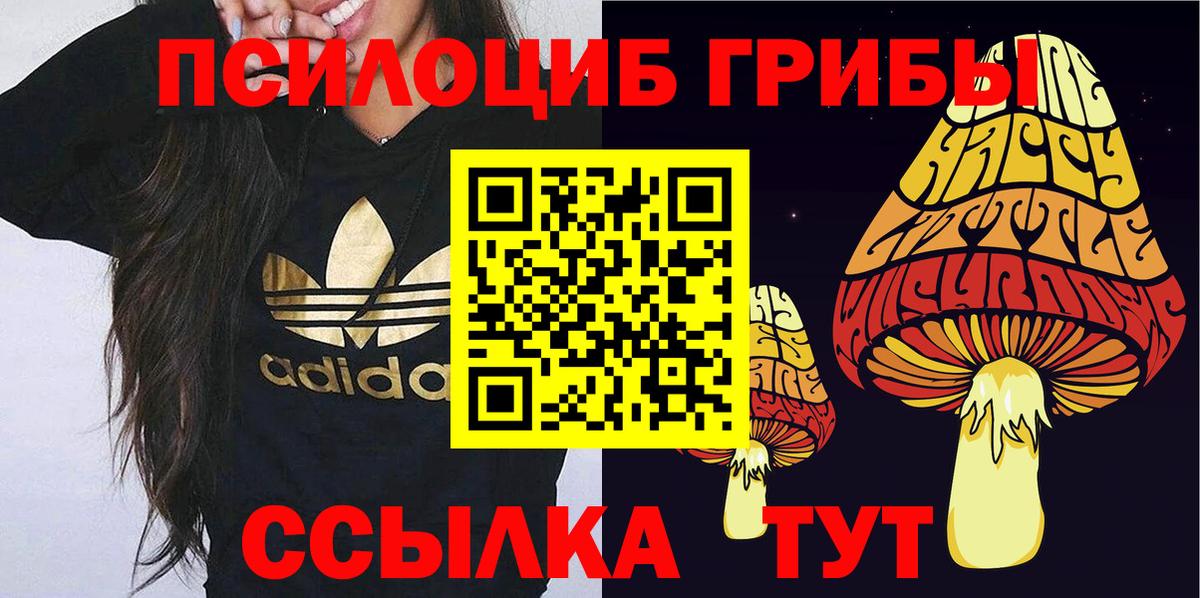Псилоцибиновые грибы ЛСД Ульяновск